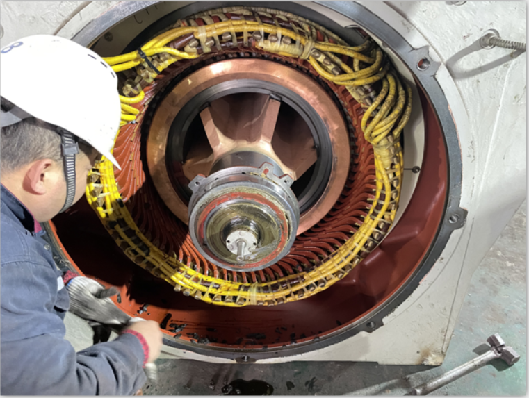 進（jìn）口高壓電機維修