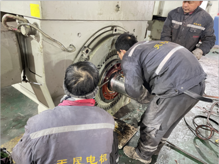 進口高壓電機維修